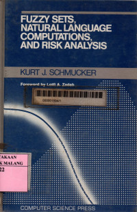 Fuzzy sets, natural language computations, and risk analysis