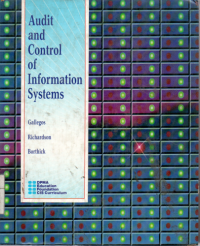 Audit and control of information systems