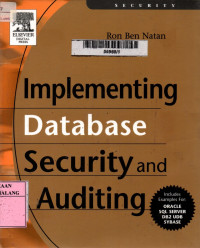 Implementing database security and auditing