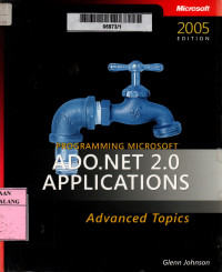 Programming microsoft ADO.NET 2.0 applications: advanced topics