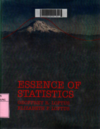 Essence of statistics