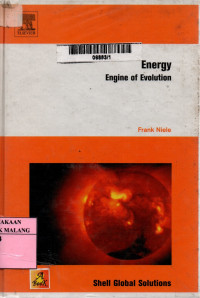 Energy: engine of evolution