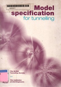 Model specification for tunnelling